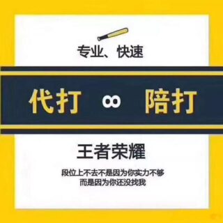 王者荣耀代打/陪打 📲 安卓 🍎 苹果